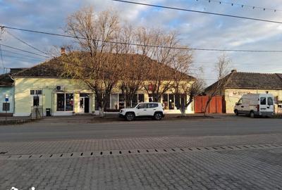 Spațiu comercial, de 350 mp, în Șepreuș - 1
