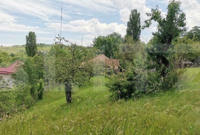 Teren 2143 mp, feleacu, intravilan, cu sura si casa demolabila - 4