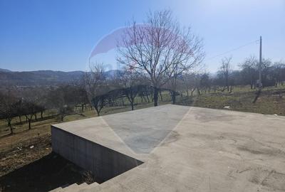 Teren agricol extravilan de 4627 mp, în Giulești - 5