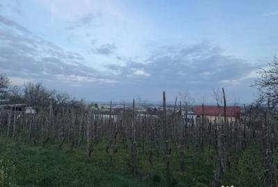 Teren în Central - 2