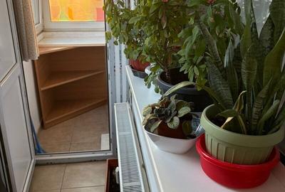 Garsonieră decomandată, mobilată în Pantelimon - 4