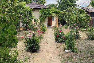 Casă cu 3 camere cu Teren 1150 Mp în Fusea - 8