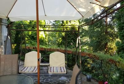 Casă cu 6 camere cu Teren 6200 Mp în Provița de Jos - 9