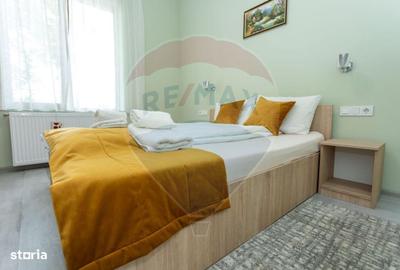 Spațiu comercial, de 270 mp, în Satu Nou de Jos - 10