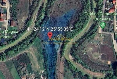 Teren Construcții intravilan de 12184 mp, în Domnești