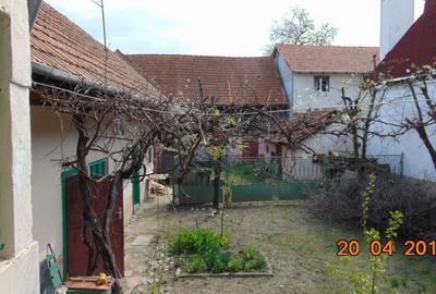 Casă cu 4 camere în Vad - 6