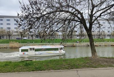 Garsonieră în Iosefin