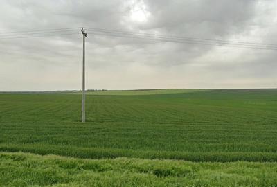 Constanta - Mihail Kogalniceanu - teren intravilan 12.500 mp - 3