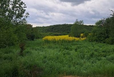 Casă cu 2 camere în Palanga - 5