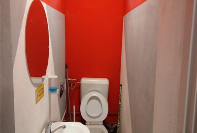 Inchiriez spatiu comercial 40mp in Timisoara - 4