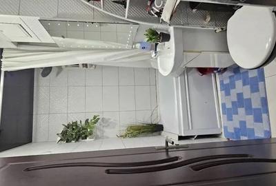 Apartament cu 3 camere de vanzare in zona Zimbru, renovat si mobilat - 9