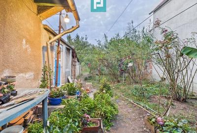 Casă modestă cu 3 camere în Aradul Nou - 9