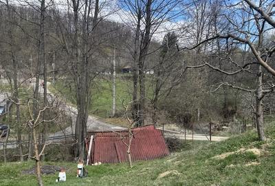 Spațiu comercial, în Râu Alb de Jos - 3