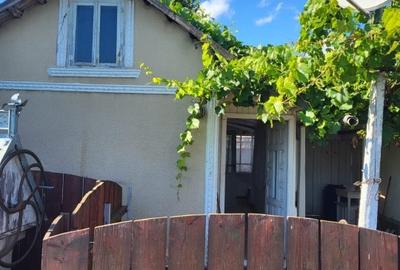 Casă individuală cu 3 camere cu Teren 1800 Mp în Bivolari - 3