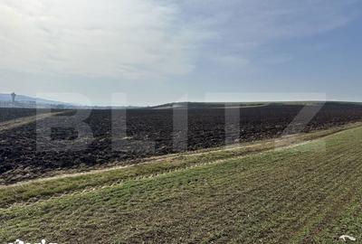 Teren de 15000 mp, în Sântuhalm - 3