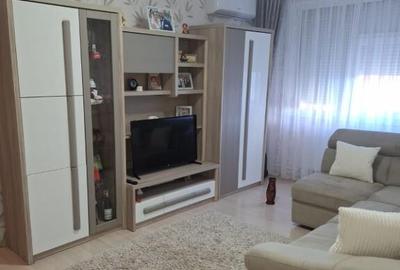 Apartament cu 2 camere semidecomandat, mobilat în Viziru 1