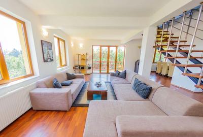 Vila de vanzare cu priveli?te superba Cicarlau - 6