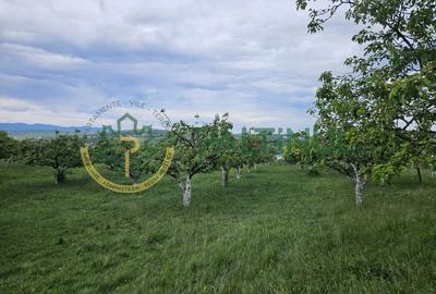 Teren 5.000 mp cu priveliște superbă – Cisnădie, Sibiu - 3