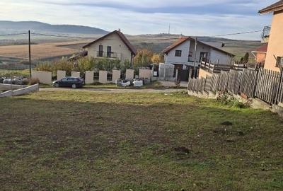 Vand teren in Chinteni - 3