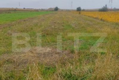 Teren de 2600 mp, în Rădăuți - 1