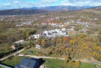 Teren si casa de vanzare la baza muntelui Iezer in Valea Mare Pravat - 17
