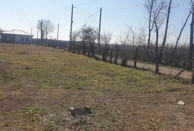Teren de 700 mp, în Bolovani - 2