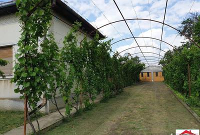 Casă cu 4 camere cu Teren 2363 Mp în Căuaș - 9