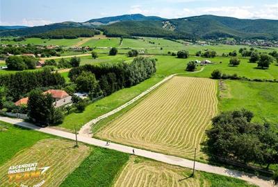 Teren intravilan,2.900mp,recomandat: investitional/ rezidential/constructii,Lunc - 5