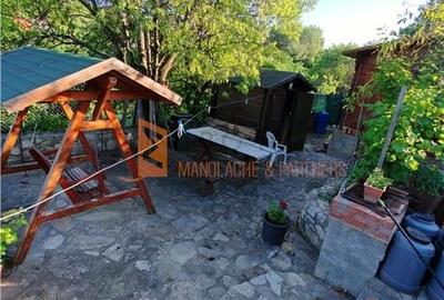 EXCLUSIVITATE! Casa+teren si cabana de lemn zona Naeni - 26