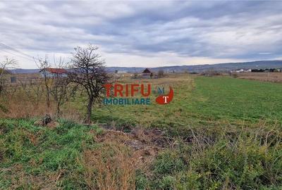 Teren 2160mp în  Partoș - 4