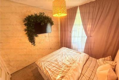 De vanzare Apartament 2 camere, zona Garii Bra?ov. - 13