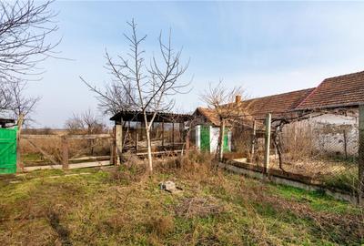 RECO Casa cu teren 3036mp, Bors - 18