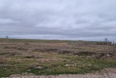 Teren de 3000 mp, în Central - 3
