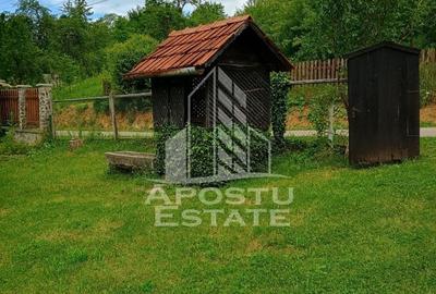 Casa bătrânească de vânzare | 4 camere | Hunedoara | Micănești - 7