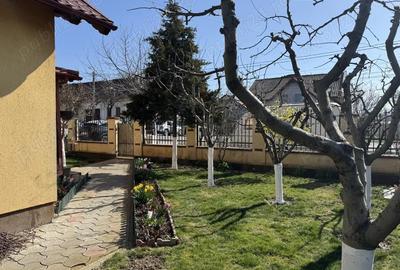 Casă cu 3 camere cu Teren 450 Mp în Central - 3