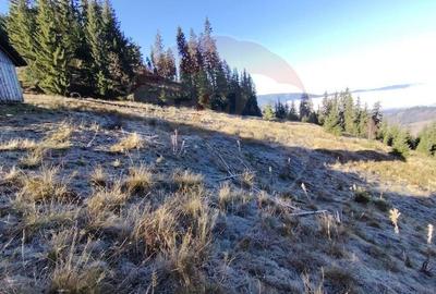 Teren 31,461mp Panaci / Prelungirea Ialovita - 14