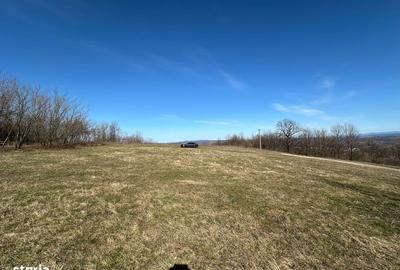 Spațiu comercial, în Central - 2