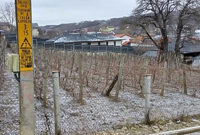 Spațiu comercial, în Valea Lupului - 1