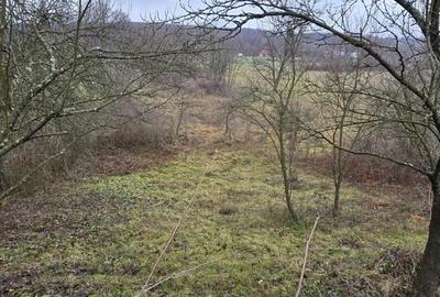 Casa si teren de vanzare Poienari - Bumbesti Pitic - 1