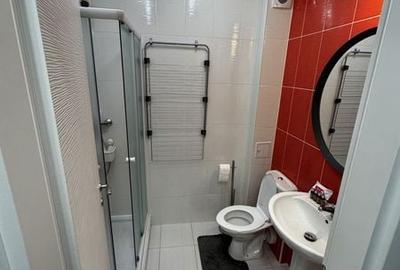 Garsonieră în Theodor Pallady - 4