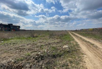 Mogosoaia Teren intravilan 19.974 mp cu PUZ aprobat I dezvoltare I P+2+M - 8