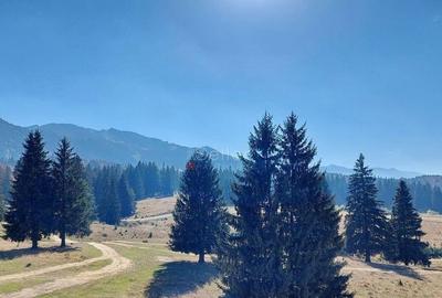 APARTAMENT DE VACANTA - POIANA BRASOV - 5