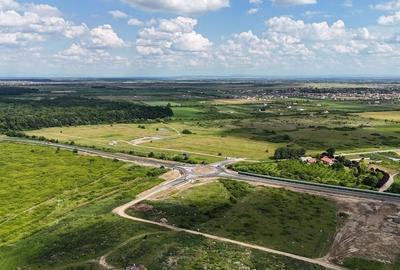 TERENURI PADUREA BISTRA - 7