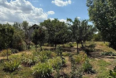 Casă cu 3 camere în Fundata - 2