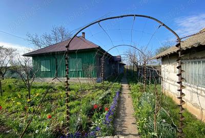 Casă cu 4 camere în Crunți - 4