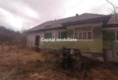 Casă cu 3 camere cu Teren 3040 Mp în Ceanu Mic - 2