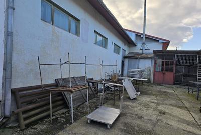 Spațiu industrial, de 287 mp, în Buciumi - 5