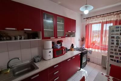 Apartament in parcul voievozilor!  Ideal pentru o familie - 9