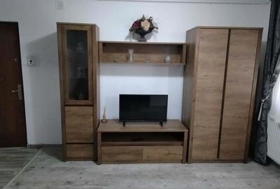Oferim spre inchiriere apartament cu o camera in zona Buziasului - 3
