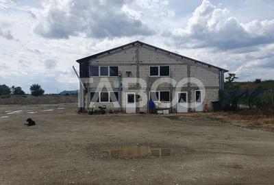 Teren si hala 42.000 mp + zona administrativa la 7 minute de Fagaras - 2
